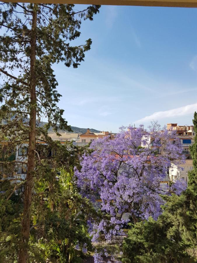 Estudiosol40 Torremolinos Bagian luar foto